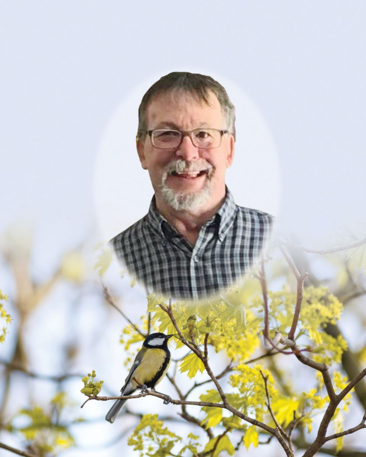 Gilles Daigle